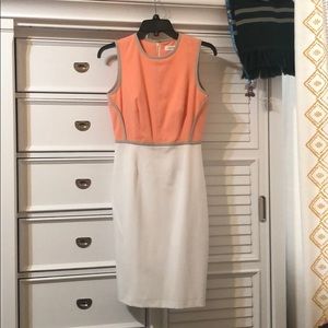 Calvin Klein Dress